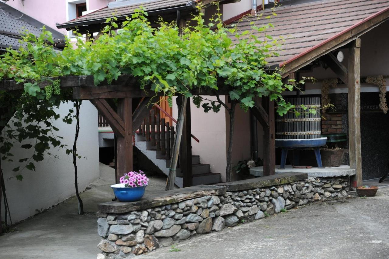 Wellness B&B Winery Sontacchi Kutjevo Buitenkant foto